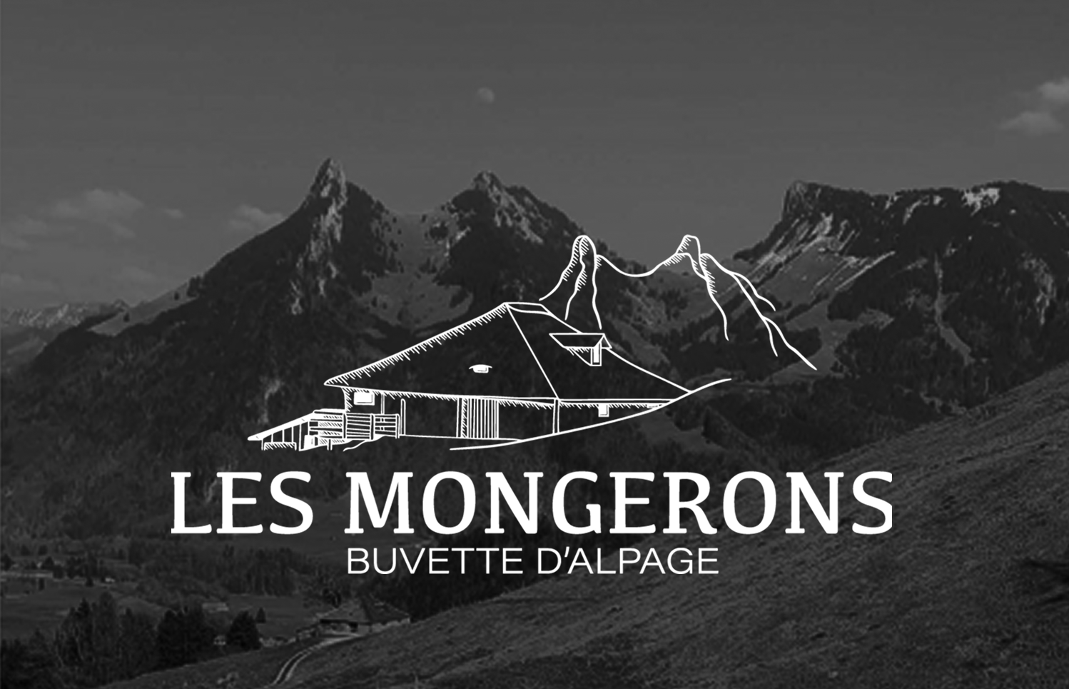 Logo du client comme image de preview du projet.